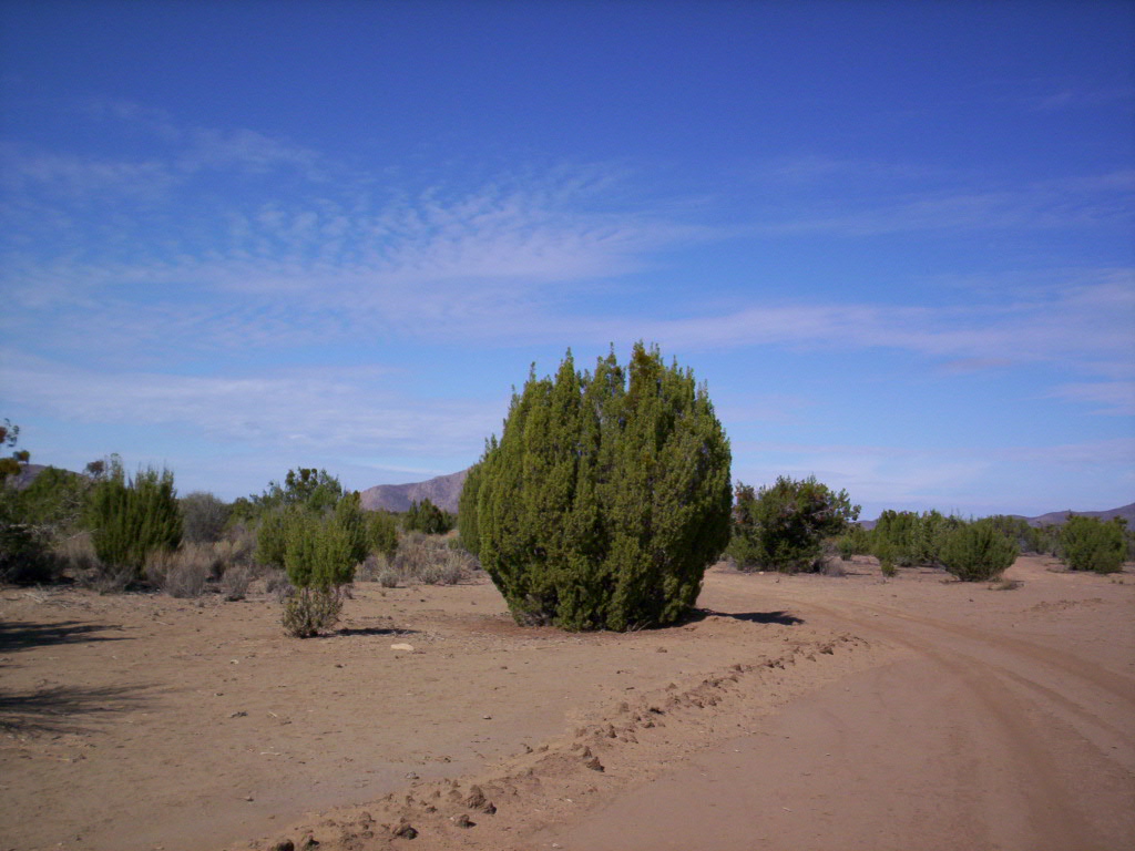 100_7312.jpg