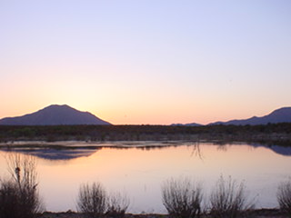 liebresyalgunoscarros038.jpg